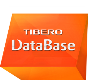 TIBERO DataBase