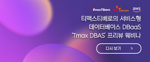 10.  TmaxDAS 웨비나 다시보기