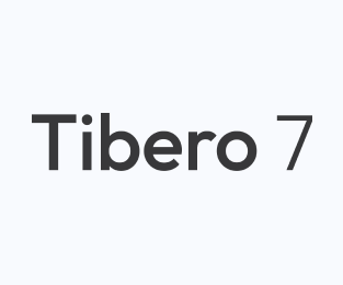 Tibero는 비즈니스 성공에 필요한 정보(Data) 모음인 데이터베이스(Database)를 어떠한 상황에서도 안정적으로 관리해주는 데이터베이스 관리 시스템(DBMS)입니다.